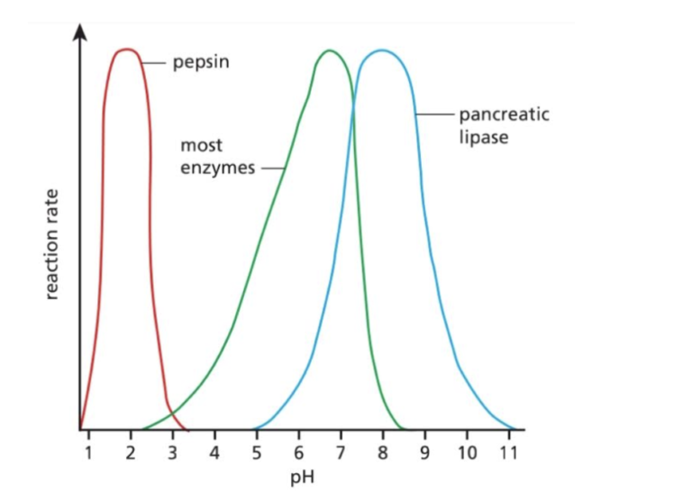 Power of Hydrogen (pH)